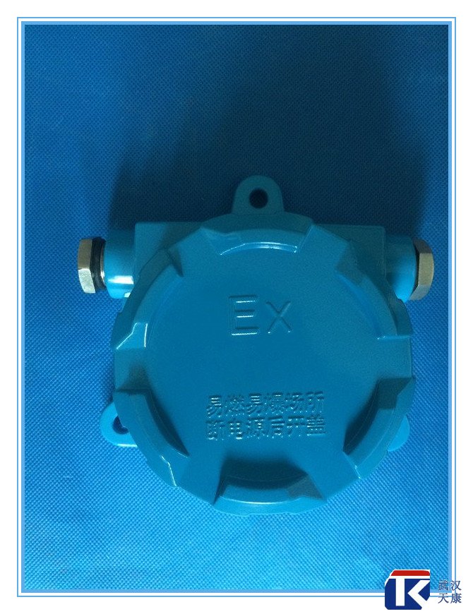 壁掛式防爆熱電阻/pt100、4-20mA輸出