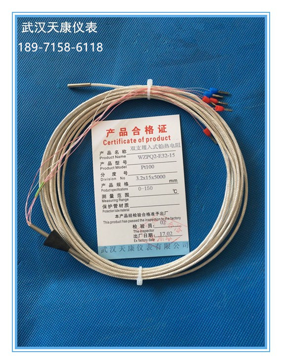 WZPQ-E32-15/WZPQ2-E32-15汽輪機(jī)用埋入式熱電阻